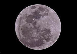 上海月亮,上海月色之美