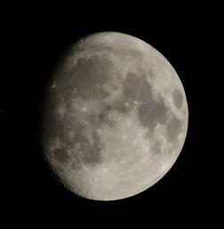 上海月亮,上海月色之美