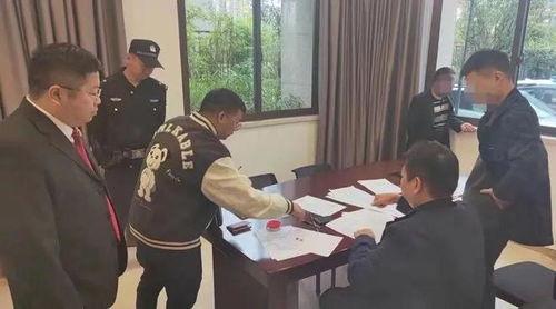 执行法官,法官视角下的执行艺术与智慧