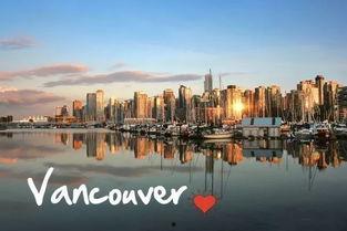 我的天堂城市,梦想家园的蓝图与未来展望